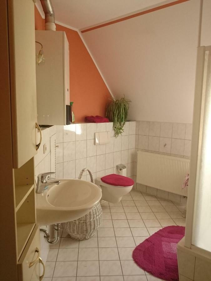 Ferienwohnung Knoche Zittau Exteriör bild